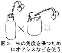 正しい姿勢に固定