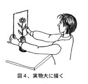 紙の大きさ