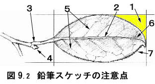 鉛筆スケッチの注意点