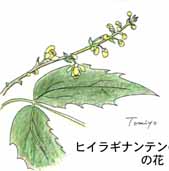 �q�C���M�i���e���̉�