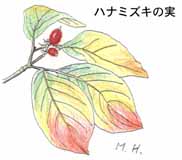 �n�i�~�Y�L�̎�